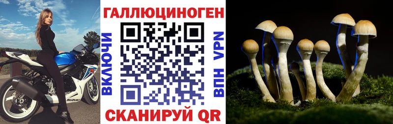 Купить закладки  Няндома  Галлюциногенные грибы ЛСД 